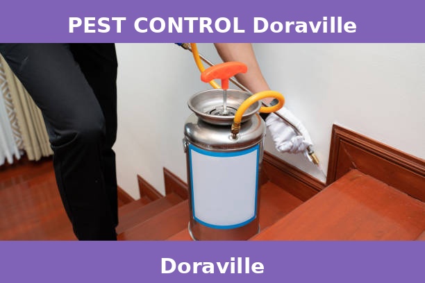 PEST CONTROL Doraville